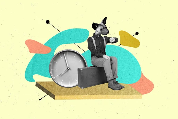 Surreal cartoon collage of head dog animal man sitting lonely waiting his railway transport check watches isolated on painted background.