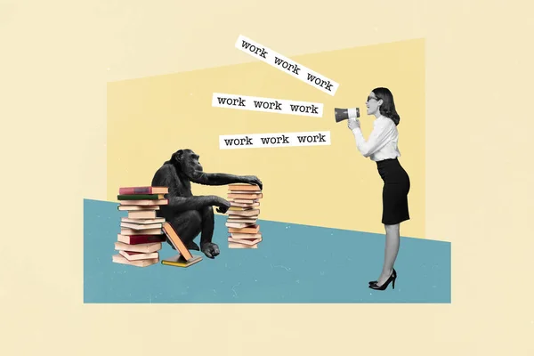 Kreative Foto Poster Collage Junger Geschäftsfrau Motiviert Dumme Angestellte Bücher — Stockfoto