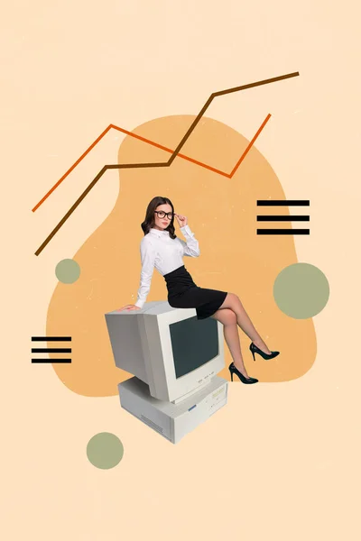 stock image Vertical artwork modern photo collage of business lady sit big computer monitor diagram stats invest income graphics background.