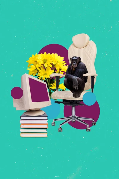 Retro Kreativní Umělecké Šablony Koláž Opice Sedí Kancelář Křeslo Pracovní — Stock fotografie