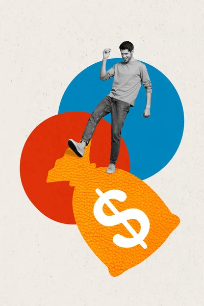 Billboard Colagem Arte Homem Rico Jovem Divertir Desfrutar Trabalho Dinheiro — Fotografia de Stock