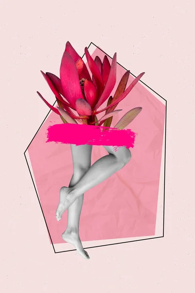 Pionowe Kompozytowe Zdjęcie Kolaż Ilustracja Dziewcząt Cienkie Nogi Kwiat Zamiast — Zdjęcie stockowe