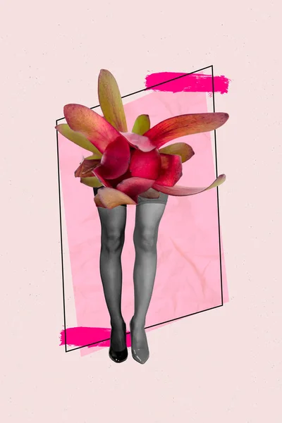 Pionowe Abstrakcyjne Zdjęcie Kolaż Magazyn Kobiet Cienkich Nóg Obcasach Kwiat — Zdjęcie stockowe