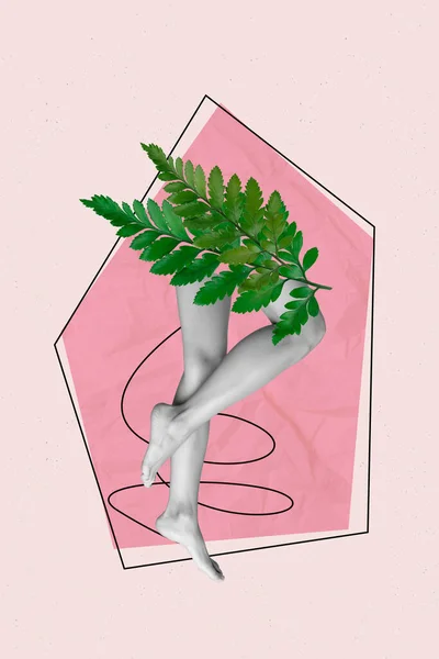Plantilla Compuesta Vertical Foto Collage Ilustración Piernas Delgadas Mujer Salón — Foto de Stock