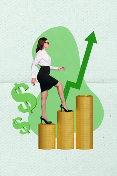 垂直写真コラージュビジネス女性取引インターネット通貨を登る収集黄金のコイン会計士の画像背景 — ストック写真