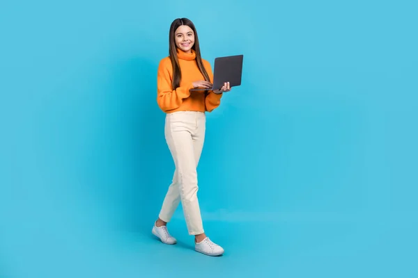 Full body photo of positive nice girl use netbook wireless walking isolated on blue color background.