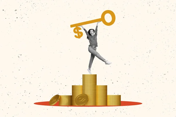 Colagem Arte Gráfica Imagem Sucesso Sorrindo Senhora Encontrando Ganhar Dinheiro — Fotografia de Stock