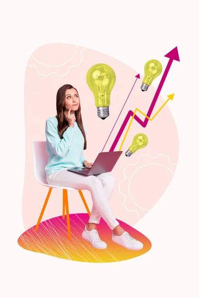 Banner Colagem Cartaz Senhora Proprietário Empresa Inteligente Usando Netbook Pensar — Fotografia de Stock