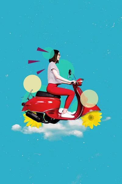 Κολάζ Σκίτσο Εικόνα Του Έργου Τέχνης Funky Ευτυχισμένη Γυναίκα Οδήγηση — Φωτογραφία Αρχείου