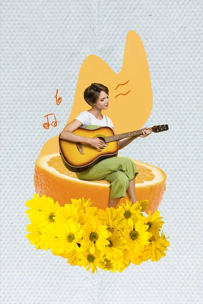 Kreatywny Design Obraz Kolaż Młody Wykonawca Dziewczyna Grać Gitarze Siedzieć — Zdjęcie stockowe