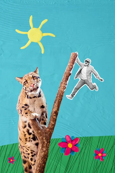 사파리는 고양이와 나무를 오르며 여름휴가를 보낸다 — 스톡 사진