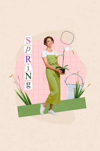 Creative retro magazine collage image of smiling cute lady gardening spring flowers isolated pasgtel colors background.