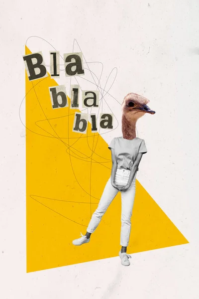 Creatieve Foto Kunstwerk Graphics Collage Schilderij Van Grappige Dame Struisvogel — Stockfoto