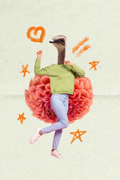 Collage Illustrazione Grafica Immagine Spensierato Bizzarro Signora Uccello Invece Testa — Foto Stock