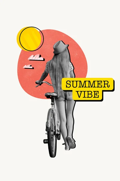 Картина Плакат Коллаж Красивой Дамы Езда Велосипеде Сельской Местности Земли — стоковое фото