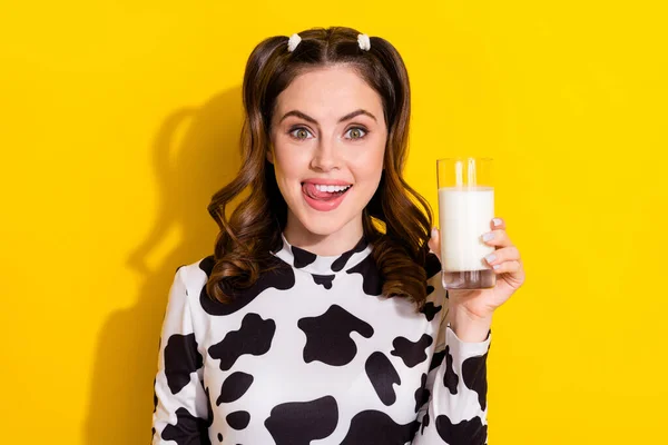 照片上可爱狡猾的女孩穿着奶牛皮衬衫舔嘴唇 享受着乳汁隔离的黄色底色 — 图库照片