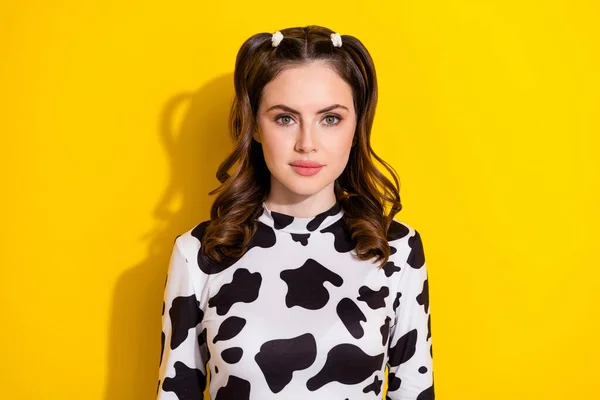 豪華な若いかわいい女性の肖像画は黄色の色の背景に隔離されたスタイリッシュな牛のプリントシャツ面白いポニーテール茶色の髪モデルを身に着けている — ストック写真