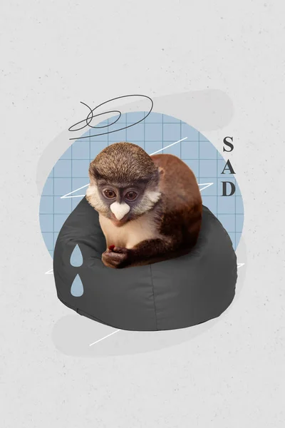 Desenho Colagem Cartaz Imagem Estranha Exótico Estressado Animal Selvagem Sentado — Fotografia de Stock