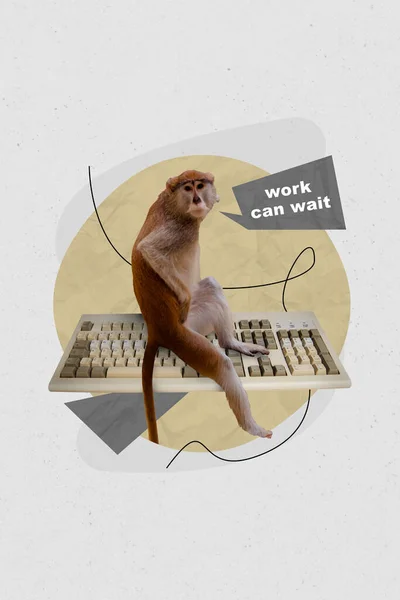 Artwork Collage Sketch Exotic Animal Monkey Sitting Keyboard Say Work — Stock Photo, Image