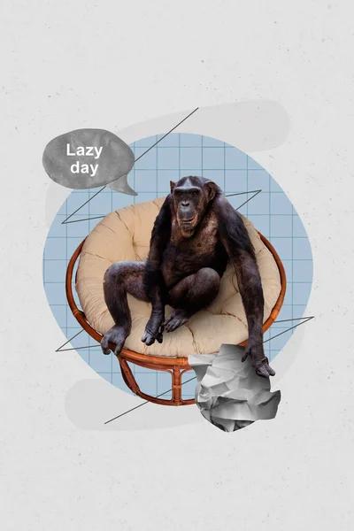 Poster Collage Sketch Image Jungle Exotic Animal Sitting Comfort Chair — Stock Photo, Image