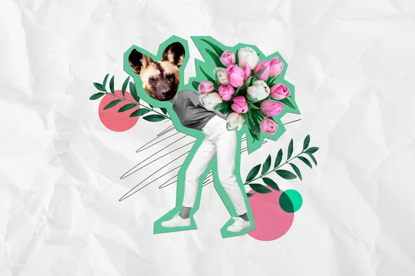 Collage Illustratie Afbeelding Van Meisje Hoofd Hyena Dragen Boeket Tulpen — Stockfoto