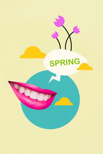 Vertical Collage Picture Positive Smiling Mouth Say Tell Spring Dialogue — Stock Photo, Image