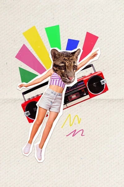 Collage graphics of funky lady wild cat instead head enjoying boom box songs isolated painting background.