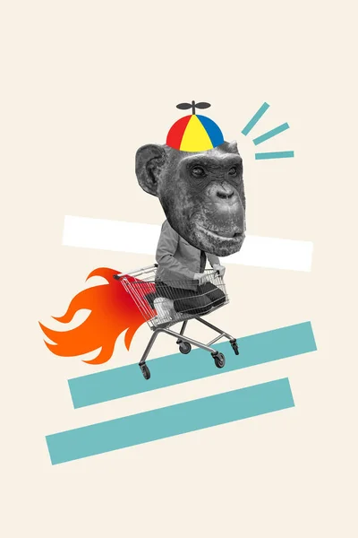 Grafis Kreatif Kolase Lukisan Funky Monkey Kepala Wanita Bergegas Belanja — Stok Foto