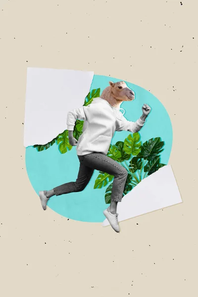 Illustration Collage Conception Composite Créative Chameau Sans Tête Animal Cours — Photo