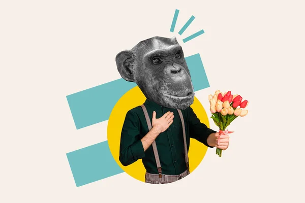 Magazine Sketch Collage Image Funky Husband Chimpanzee Head Giving Flowers — Stock Photo, Image