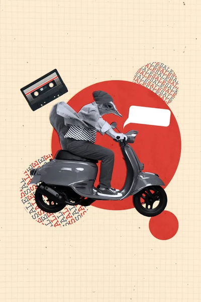 Sanat Eseri Kolaj Şablonu Garip Suratsız Vahşi Strauss Drive Scooter — Stok fotoğraf