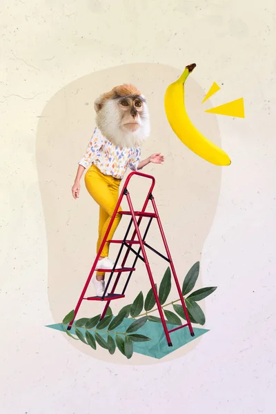 Plakát Banner Koláž Vytrvalých Lidí Opice Mají Sen Cíl Chutné — Stock fotografie