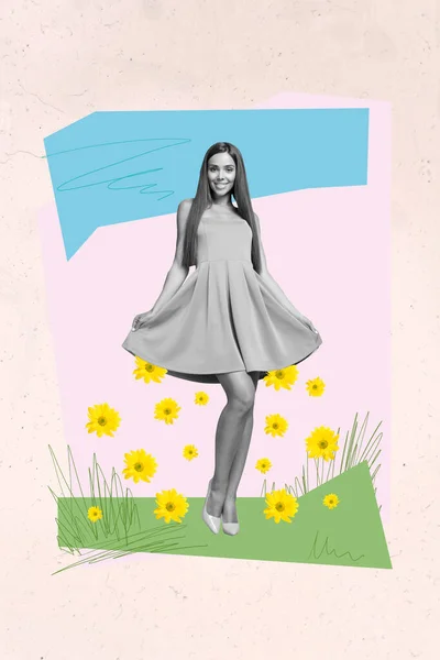 黑白色效果漂亮女孩穿着高跟鞋鲜菊花的垂直拼贴形象在绘画创作的背景上 — 图库照片