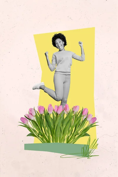 Plakat Sztandar Collage Szczęśliwy Podekscytowany Pani Skoki Pięściami Podnieść Cieszyć — Zdjęcie stockowe