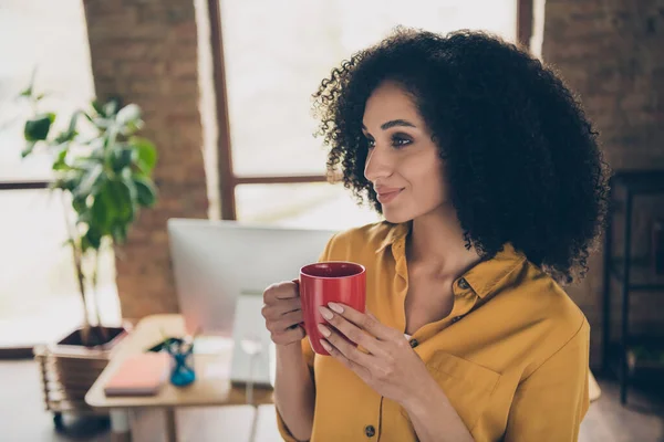 Stock image Profile photo of gorgeous positive secretary girl hands hold fresh aroma coffee modern interior office room inside.