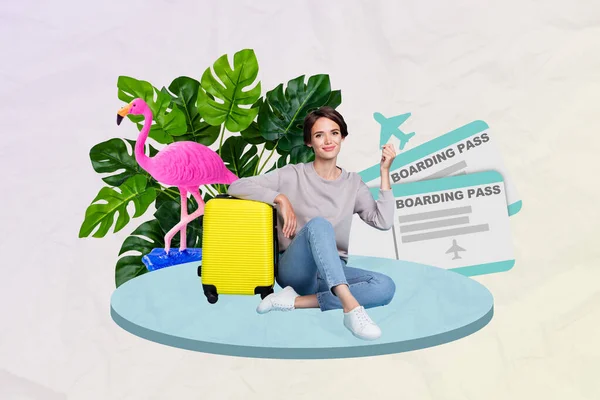 이미지 콜라주가 매력적 여행사의 광고판을 건넌다 가격에 비행기를 — 스톡 사진