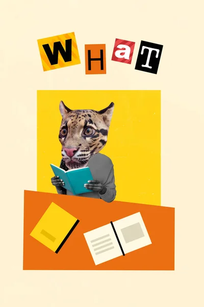 創造的なグラフィックコラージュ絵画のファンキーな感銘を受けた猫頭男読書本隔離された図面の背景 — ストック写真