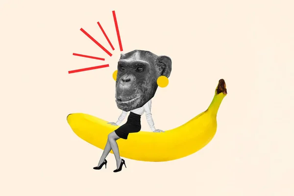 Collage Minimal Picture Funky Funny Monkey Head Lady Worker Sitting — Stock Photo, Image