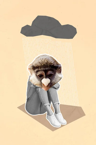 Foto Kolase Vertikal Depresi Apatis Kepala Monyet Simpanse Hewan Duduk — Stok Foto