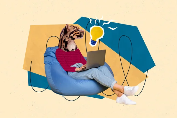 Collage Genio Specialista Capo Leopardo Trovato Chat Gpt Codice Risolvere — Foto Stock