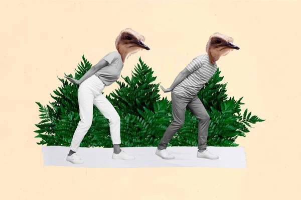Kreative Zusammengesetzte Abstrakte Konzept Foto Collage Von Seltsamen Seltsamen Kopflosen — Stockfoto
