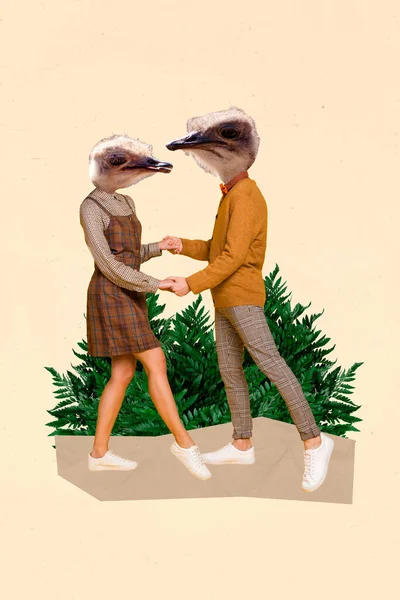 Kompozytowy Kolaż Ilustracja Dwóch Miłośników Zoo Bez Głowy Zabawy Taniec — Zdjęcie stockowe