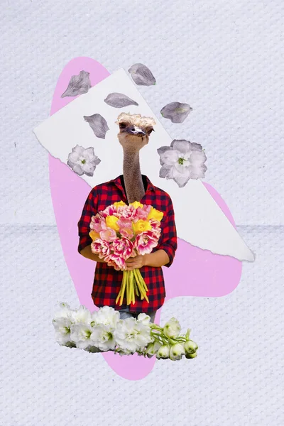 Vertical Collage Picture Ostrich Head Guy Hands Hold Fresh Flowers — Stock Photo, Image