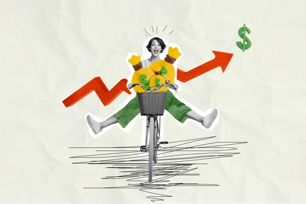 Collage illustration banner of young excited business lady riding with money bags her company growing budget isolated over grey background.