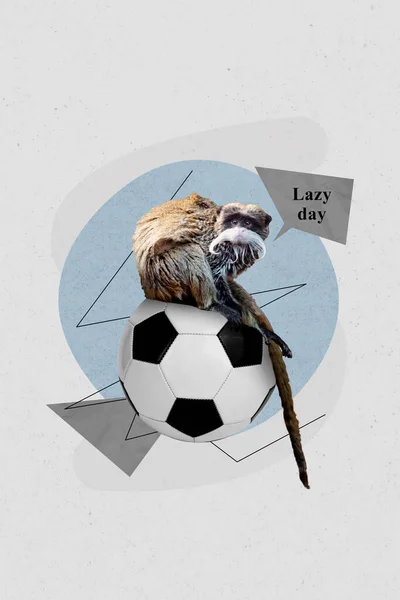 Vertical Collage Artwork Image Jungle Animal Sitting Ball Relaxing Watching — Stock Photo, Image