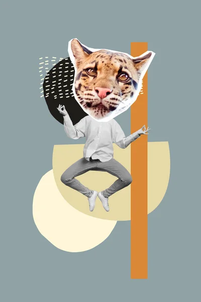 Collage Foto Persona Divertida Cabeza Tigre Gato Salto Equilibrio Aire — Foto de Stock