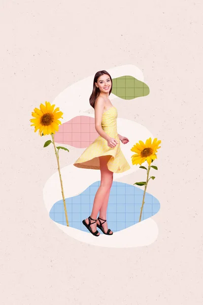 Vertikale Grußkarte Bild Collage Von Positiven Fröhlichen Dame Tragen Sommerkleid — Stockfoto