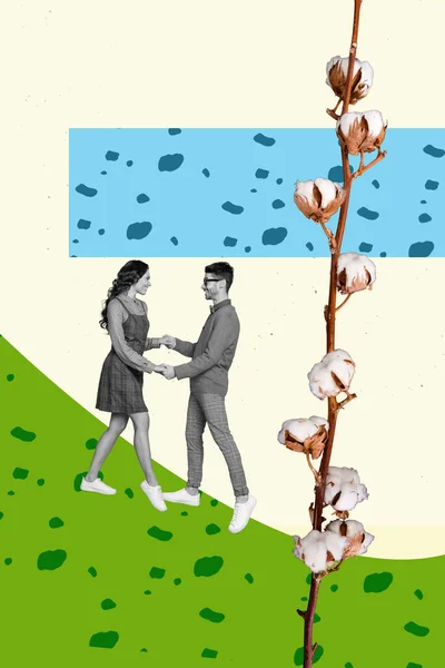 两对恋人情投意合春天里在公园背景上生长的棉花花的垂直图片拼贴 — 图库照片