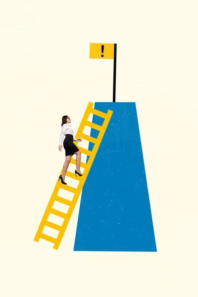 Foto Kunstwerk Graphics Collage Schilderij Van Doelbewuste Dame Lopen Ladder — Stockfoto