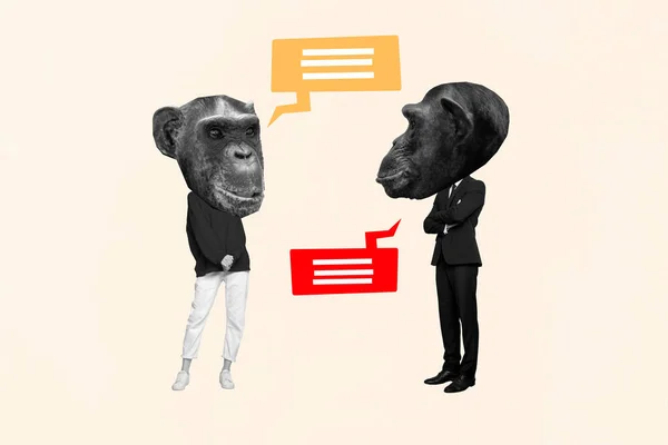 침팬지의 고립된 베이지 배경을 통신하는 침팬지의 콜라주 — 스톡 사진